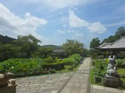 三室戸寺(京都府)