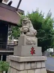 高円寺氷川神社の狛犬