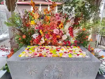 金蛇水神社(宮城県)