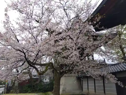 毫攝寺(福井県)