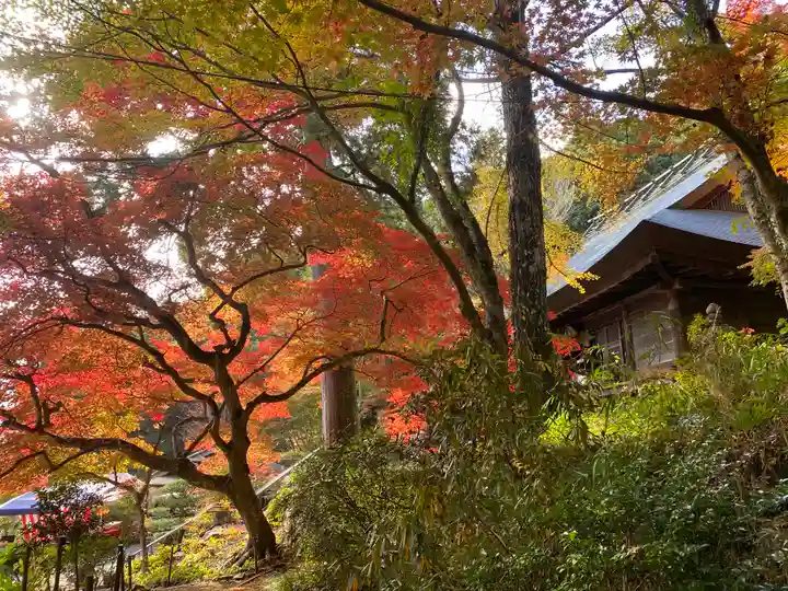 大国寺(兵庫県)