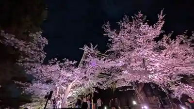 知恩院(京都府)