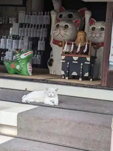 今戸神社(東京都)