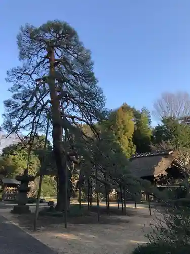海岸寺の庭園