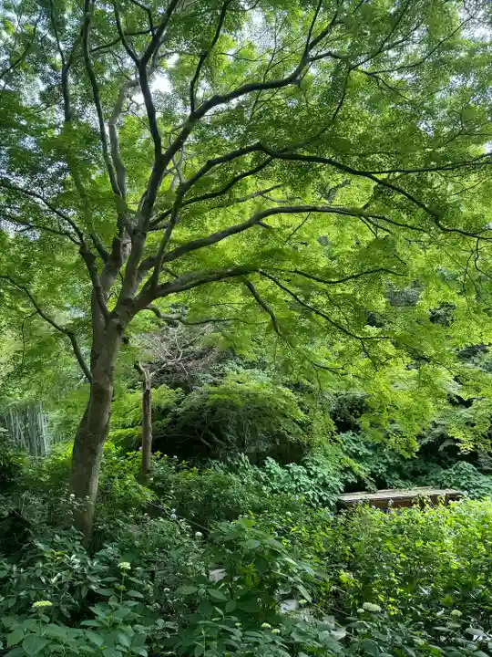 明月院(神奈川県)