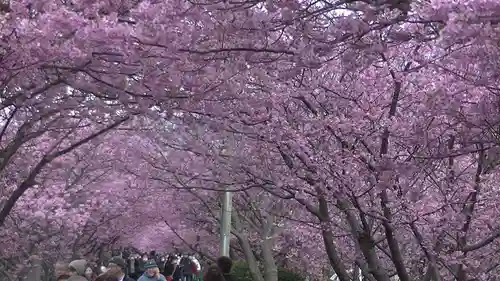 かっぱの寺 栖足寺の自然