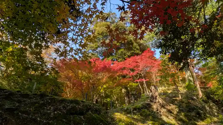 神護寺(京都府)