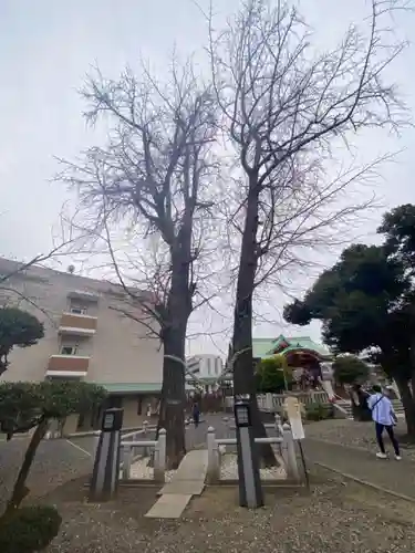 千住神社(東京都)