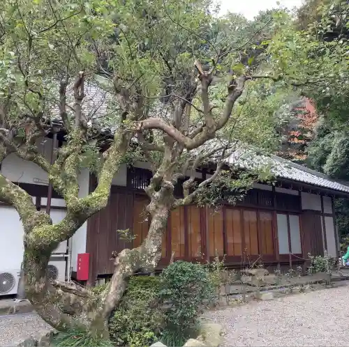 伊崎寺(滋賀県)