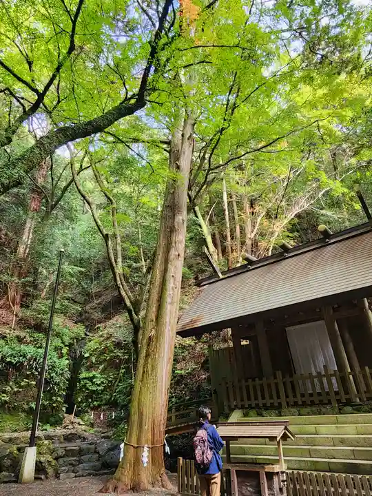 多度大社の末社・摂社
