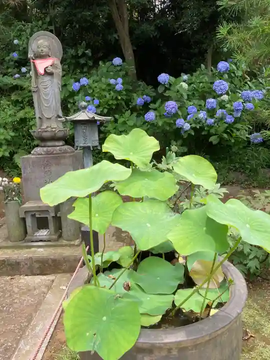 妙楽寺(神奈川県)