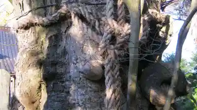 鵜川神社のその他建物