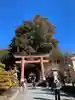 河口浅間神社(山梨県)