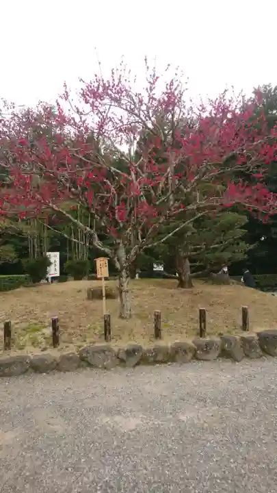 大神神社(奈良県)
