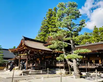 多賀大社の本殿・本堂