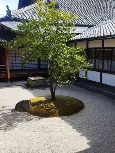 建仁寺（建仁禅寺）の庭園