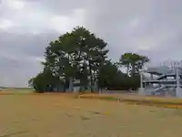 磤玖娜社(奥田神社)の自然