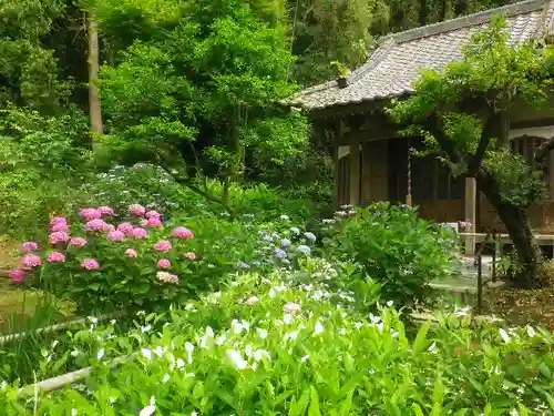 妙法寺の庭園