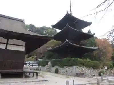 園城寺（三井寺）(滋賀県)