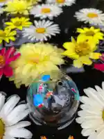 大鏑神社の手水舎