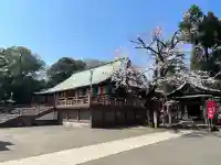 喜多院の{uncategorized: "未分類", other: "その他", undefined: "問題あり", building: "その他建物", grave: "お墓", sacred_gate: "鳥居", guardian: "狛犬", statue: "像", buddha: "仏像", history: "歴史", nature: "自然", garden: "庭園", animal: "動物", pagoda: "塔", temizu: "手水舎", mountain_gate: "山門・神門", sanctuary: "本殿・本堂", subordinate: "末社・摂社", art: "芸術", scenery: "景色", jizo: "地蔵", ema: "絵馬", goshuin: "御朱印", omikuji: "おみくじ", items: "授与品その他", amulet: "お守り", goshuincho: "御朱印帳", eats: "食事", festival: "お祭り", votive_dance: "神楽", shichigosan: "七五三参", wedding: "結婚式", experience: "体験その他", initially: "初詣", around: "周辺", anti_infection: "感染症対策"}