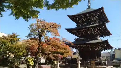 飛騨国分寺(岐阜県)