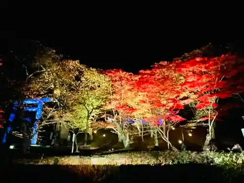 土津神社｜こどもと出世の神さまの自然