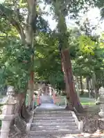 若宮神社(京都府)