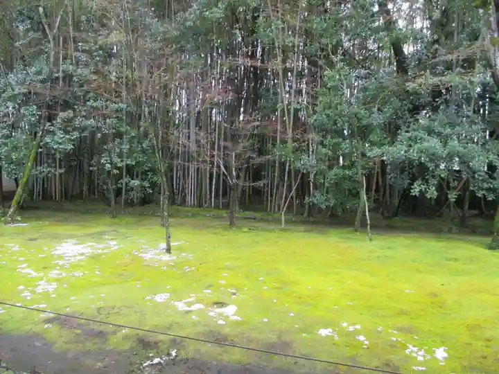 高桐院(京都府)