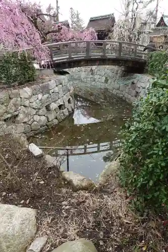 北野天満宮の庭園