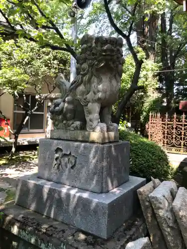 仲町氷川神社の狛犬