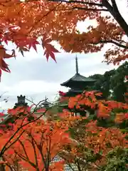 當麻寺(奈良県)