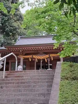 中氷川神社(埼玉県)