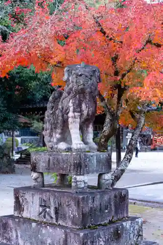 今宮神社の狛犬