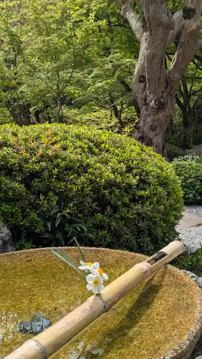 圓光寺(京都府)