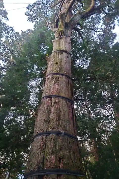 高千穂神社(宮崎県)