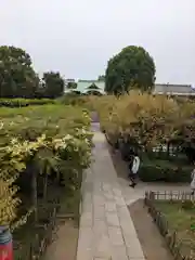 亀戸天神社(東京都)