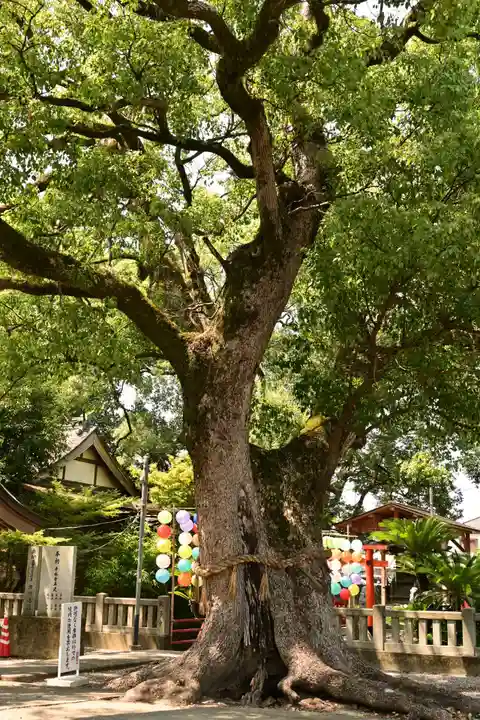 大御和神社(徳島県)