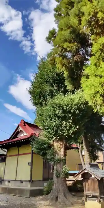 稲荷神社(埼玉県)