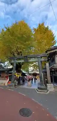 湯島天満宮の鳥居