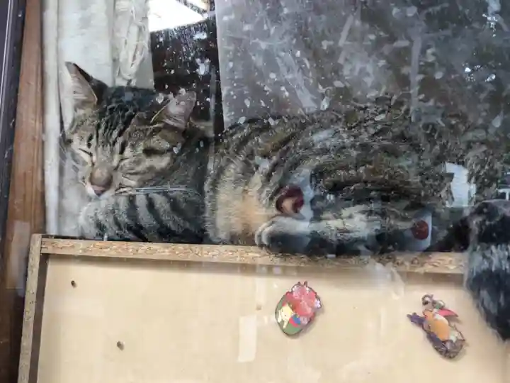 王子神社の動物