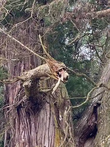 高岡神社(岡山県)