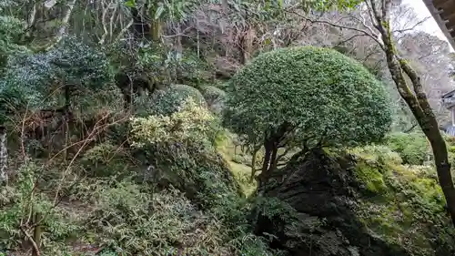 乘臺寺の庭園