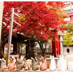 彌彦神社　(伊夜日子神社)(北海道)