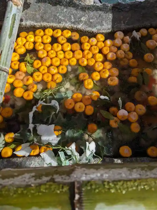 賀茂別雷神社(上賀茂神社)(京都府)