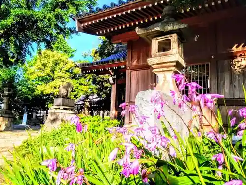 愛宕神社（横須賀）の庭園