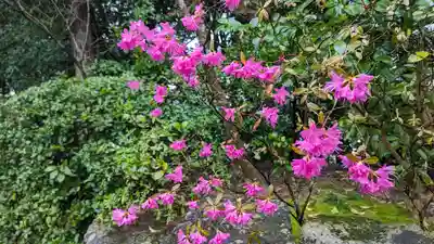 正法寺(京都府)