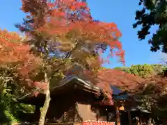 普門寺(切り絵御朱印発祥の寺)(愛知県)