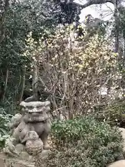 鶴峯八幡宮(千葉県)