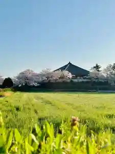 浄土寺(兵庫県)(2024年04月10日(水) 14時31分15秒投稿)